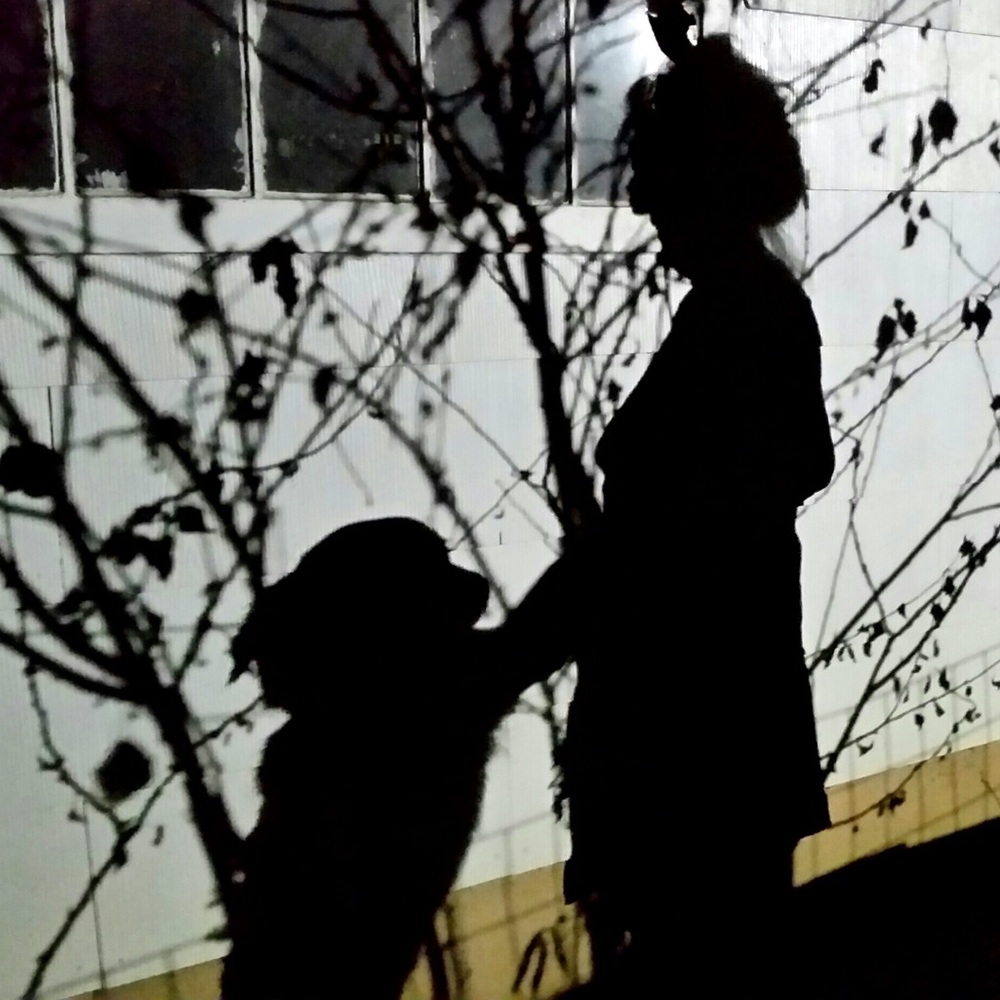 Meet your Posher, Julie